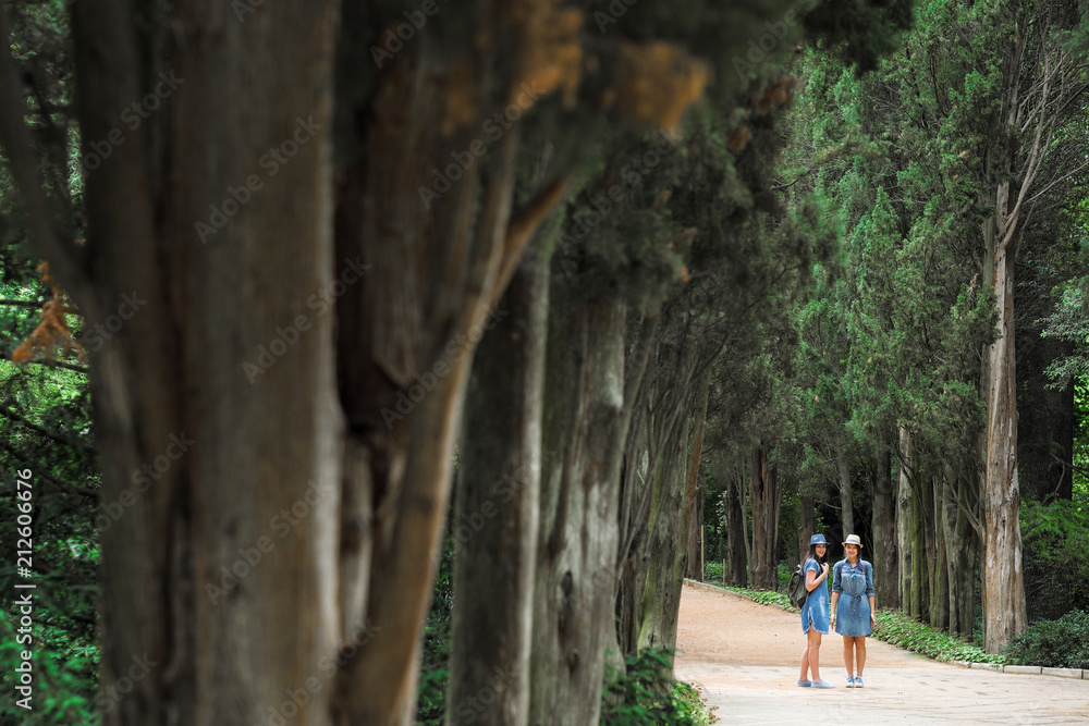 Two young beautiful brunette girls in jeans dresses and hats walk along the road of park with tall green trees. Two young beautiful brunette girls in jeans dresses and hats walk along the road of park with tall green trees.