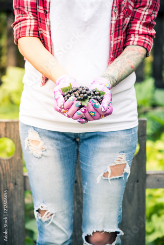 Woman hands holding fresh blackcurrant fruits in garden