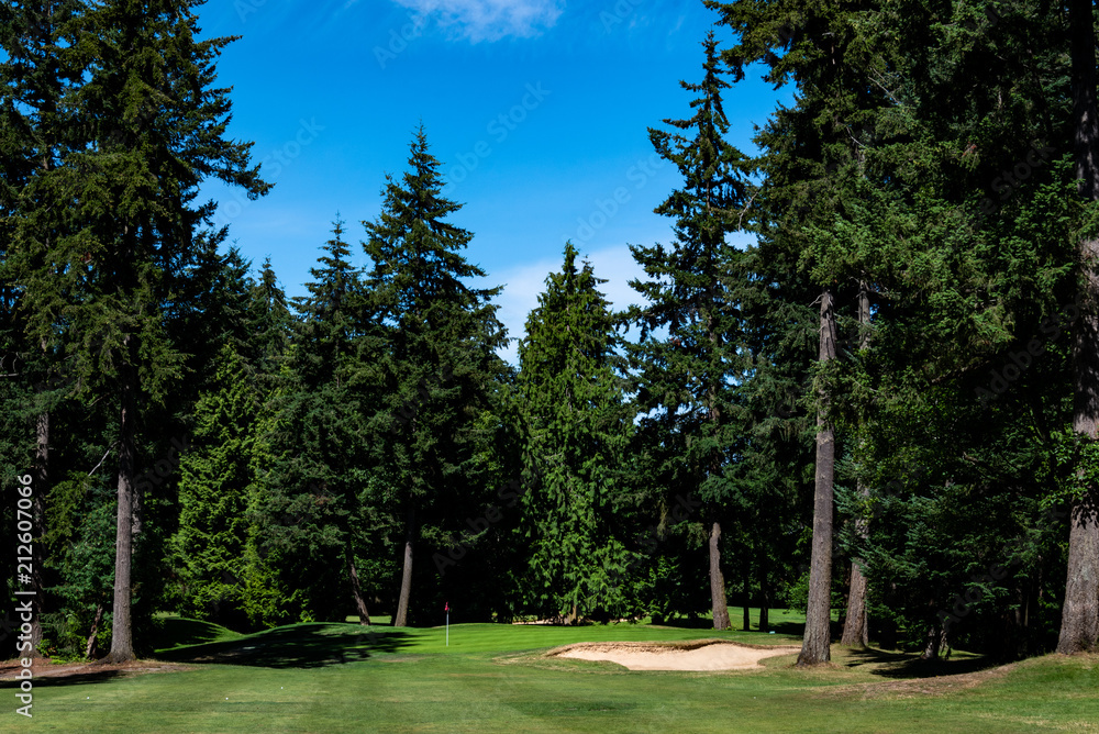 Fototapeta premium Golf course fairway lined with tall trees, hole and green protected by a sand trap, blue sky with white clouds 