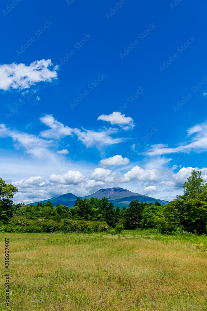 浅間山を望む