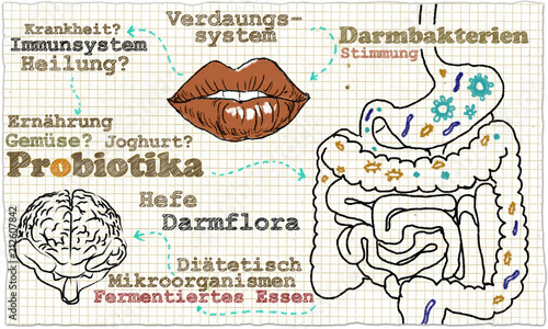 Fotografie Illustration about Probiotics and Gut Bacteria in cycle
