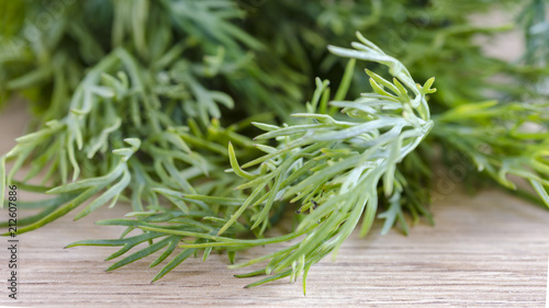 Bunch fresh green dill. Food background. Close up