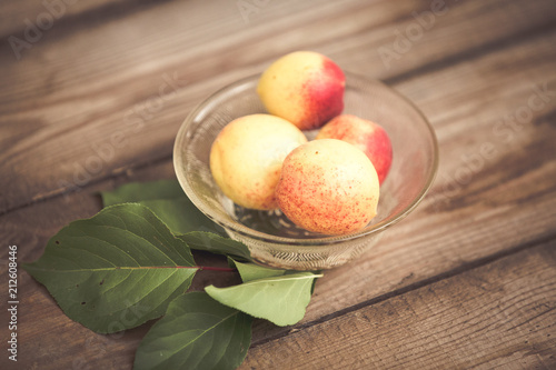 Organic apricots on rustic background 