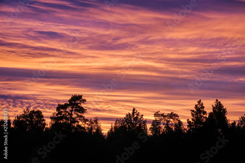 Beautiful, colorful and dramatic sky at sunset. Silhouette of forest.
