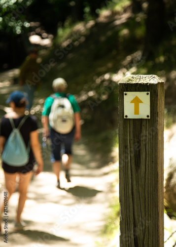 Wooden Signpost with Yellow Arrow Pointing Straight