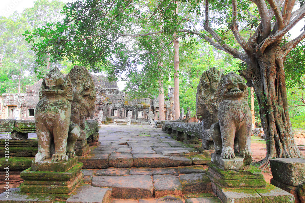 Part of a ta prohm temple, Siem Reap, Cambodia. Part of a ta prohm temple, Siem Reap, Cambodia.