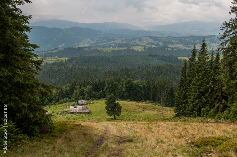 Panorama view to wooden houses near the mountains, Carpathian, Ukraine