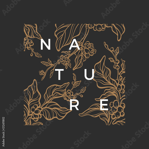 Template of coffee tree. Vector art line illustration