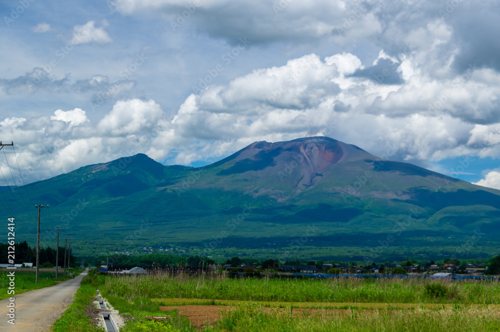 Fototapeta premium 浅間山を望む