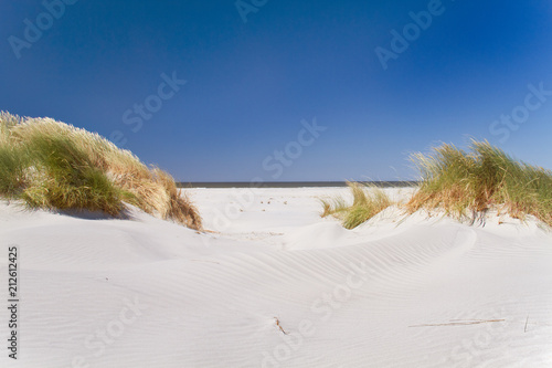 View on beach and sea between dunes grown with Marram grass under a blue sky