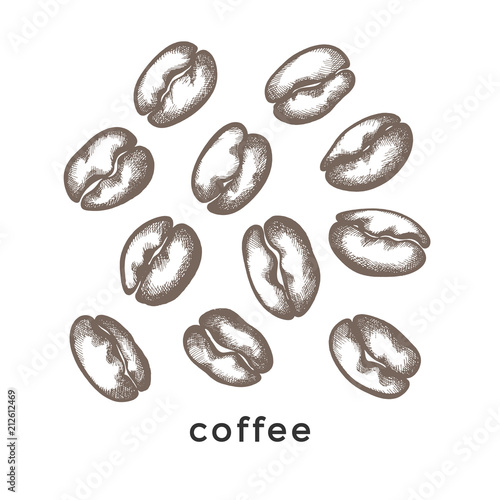 Vector nature set. Shape of coffee beans