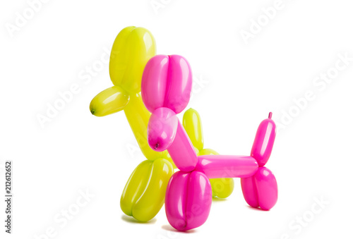 dog toy from a balloon isolated