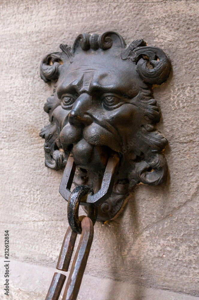 Cast iron door gate design with lion's head