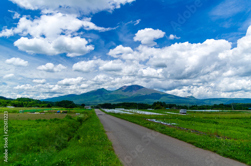 浅間山を望む