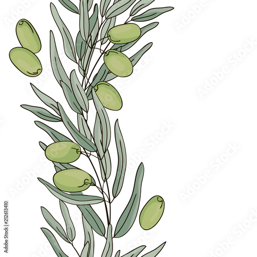 vector contour green color olive plant leaf had drawn elements set seamless vertical