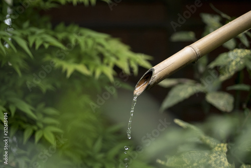 Bamboo water fountain in nature background photo