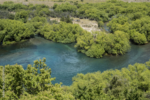 Blue water river in green forest landscape