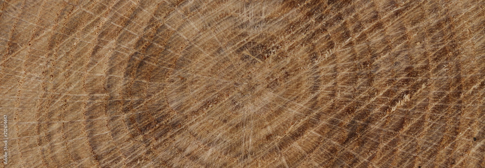 Hintergrund Holz Hintergrund Holz