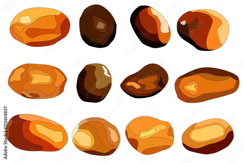 a set of 12 images of potatoes of different shapes and sizes