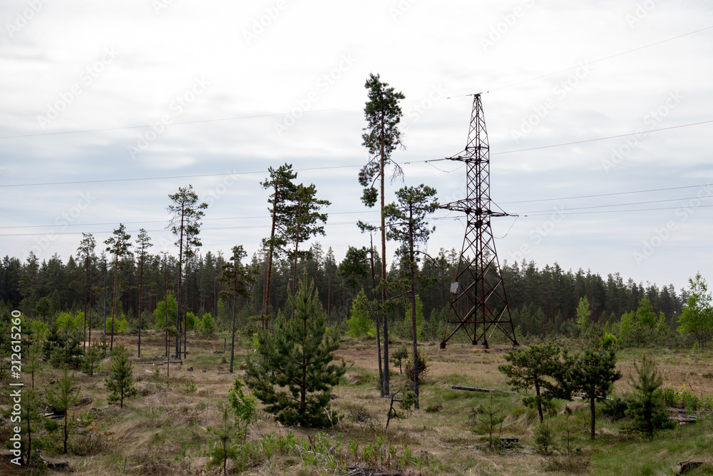 Obraz premium Electricity pylon in forest