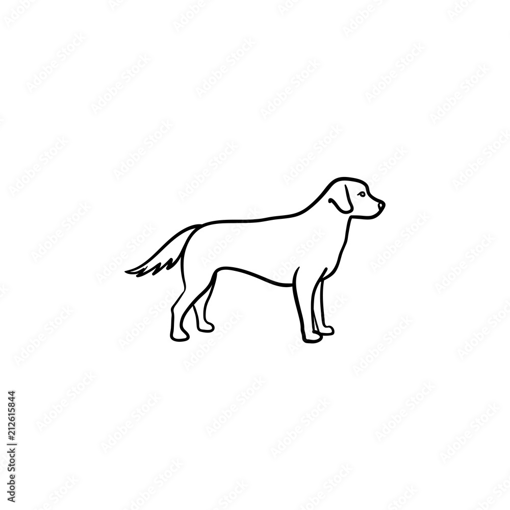 Friendly dog hand drawn outline doodle icon. Pet care and safety dog walking concept. Vector sketch illustration for print, web, mobile and infographics on white background.