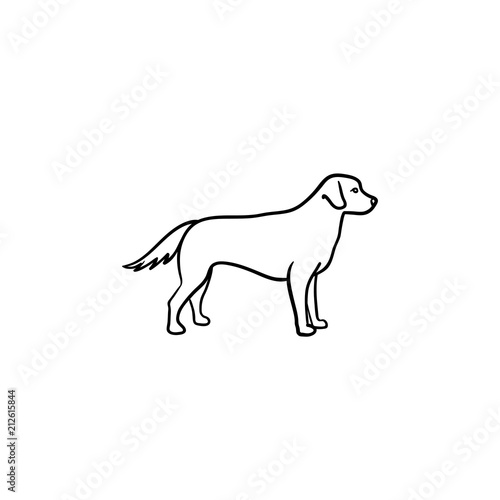 Friendly dog hand drawn outline doodle icon. Pet care and safety dog walking concept. Vector sketch illustration for print  web  mobile and infographics on white background.