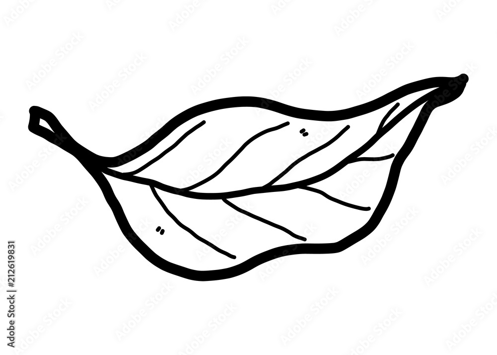 leaf / cartoon vector and illustration, black and white, hand drawn, sketch  style, isolated on white background. Stock Vector | Adobe Stock