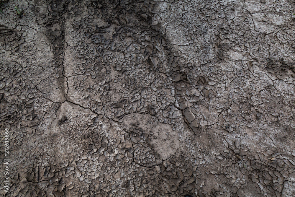 Cracked earth. The soil. Cracks. Drought. Cracked earth. The soil. Cracks. Drought.