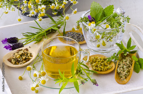Alternative Medicine. Herbal Therapy. photo