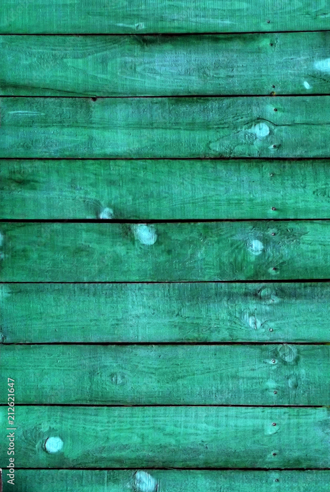 Fototapeta premium textured green tree