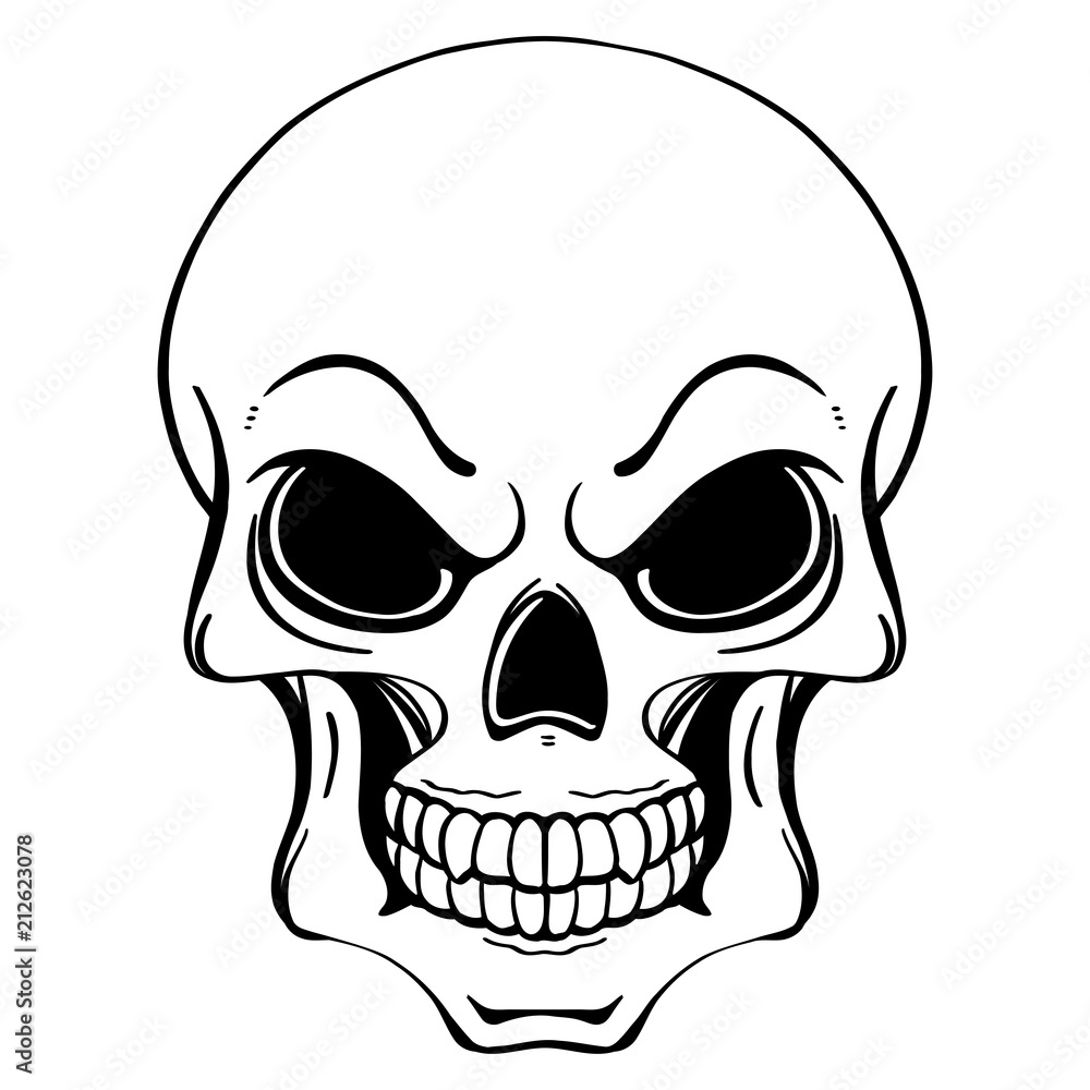Black and white illustration of human skull in ink hand drawn style.