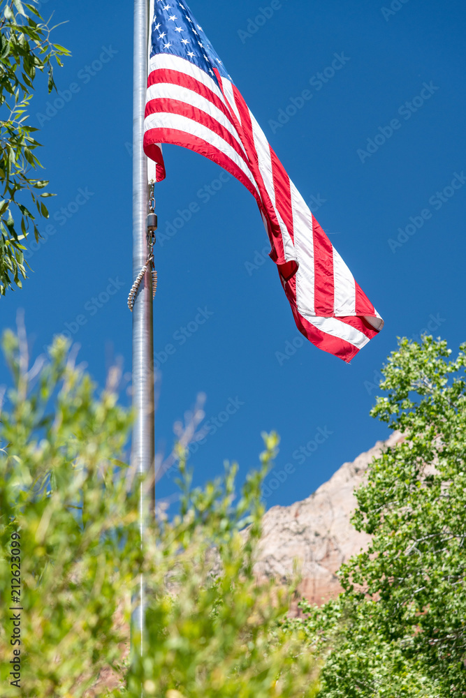 American flag framed by National park landscape vegetation and mountain