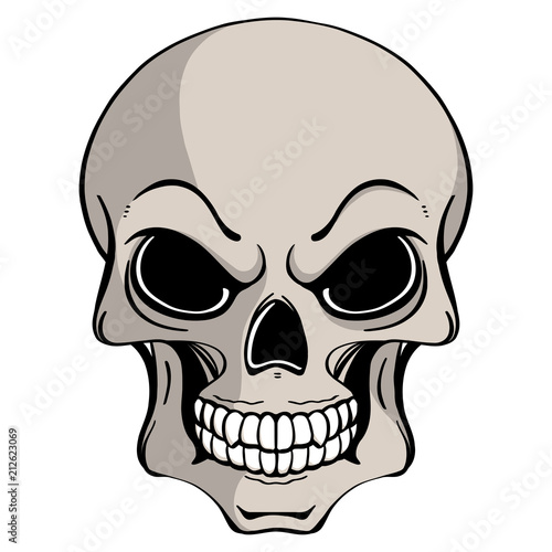 Illustration of human skull in ink hand drawn style