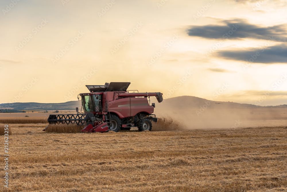 Combine harvesting the field of wheat on a sunset Combine harvesting the field of wheat on a sunset