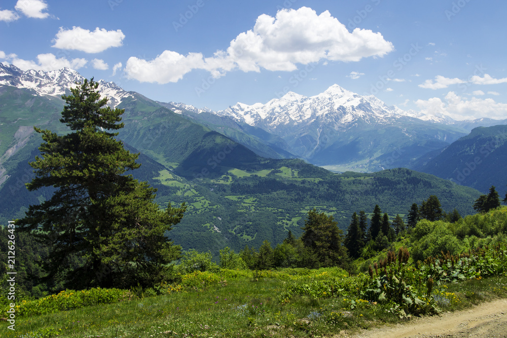 Svaneti mountain landscape with green grassy hills, snowy peaks and blue sky with white clouds on summer day, Georgia. Scenery view on georgian mountains. Amazing nature in Mestia.