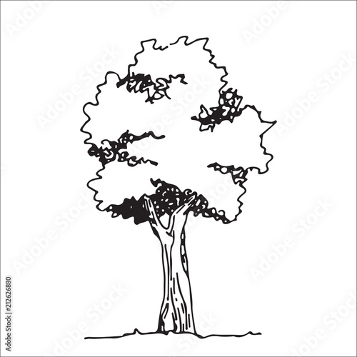Tree sketch, architect hand drawing, black landscape element