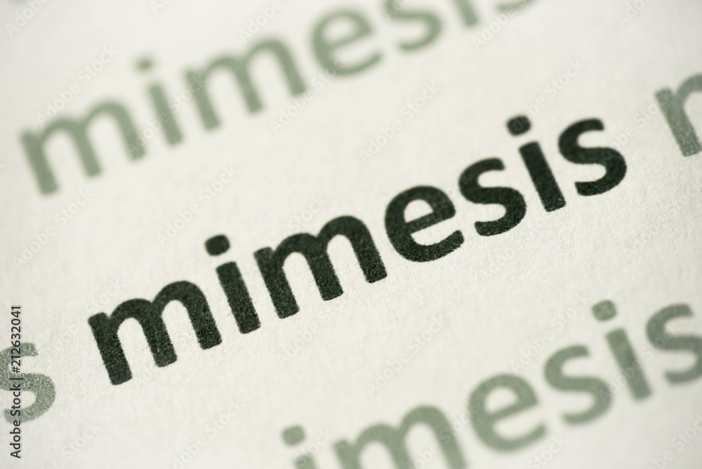 word mimesis printed on paper macro word mimesis printed on paper macro