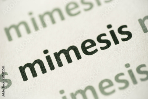 word mimesis printed on paper macro