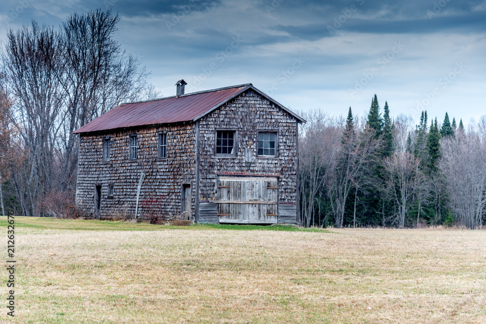 Obraz premium abandoned rusty building with trees