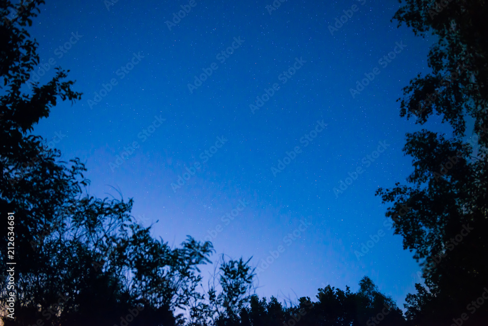 Night dark blue sky in forest with bright stars as space background Night dark blue sky in forest with bright stars as space background