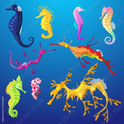 Seahorse vector seafish character or cartoon sea-horse undersea in tropical wildlife illustration set of exotic sea horse in aquarium or ocean isolated on background