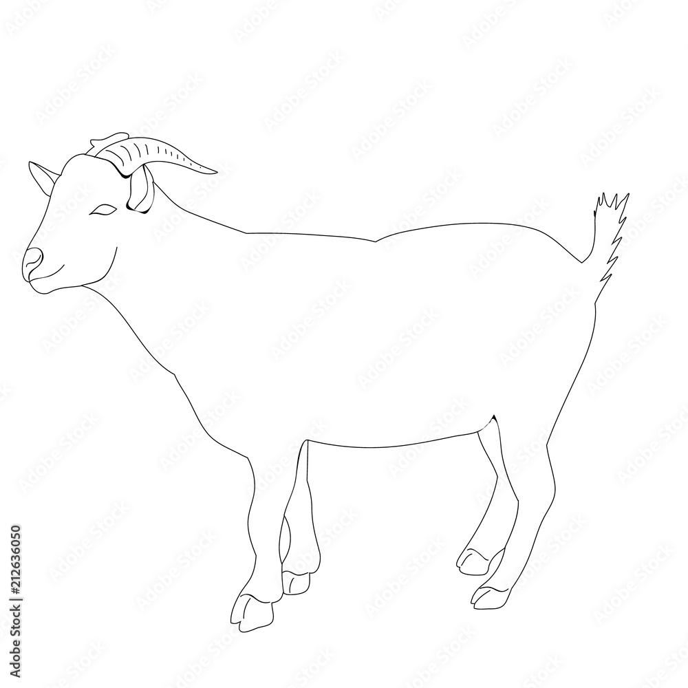  isolated goat sketch