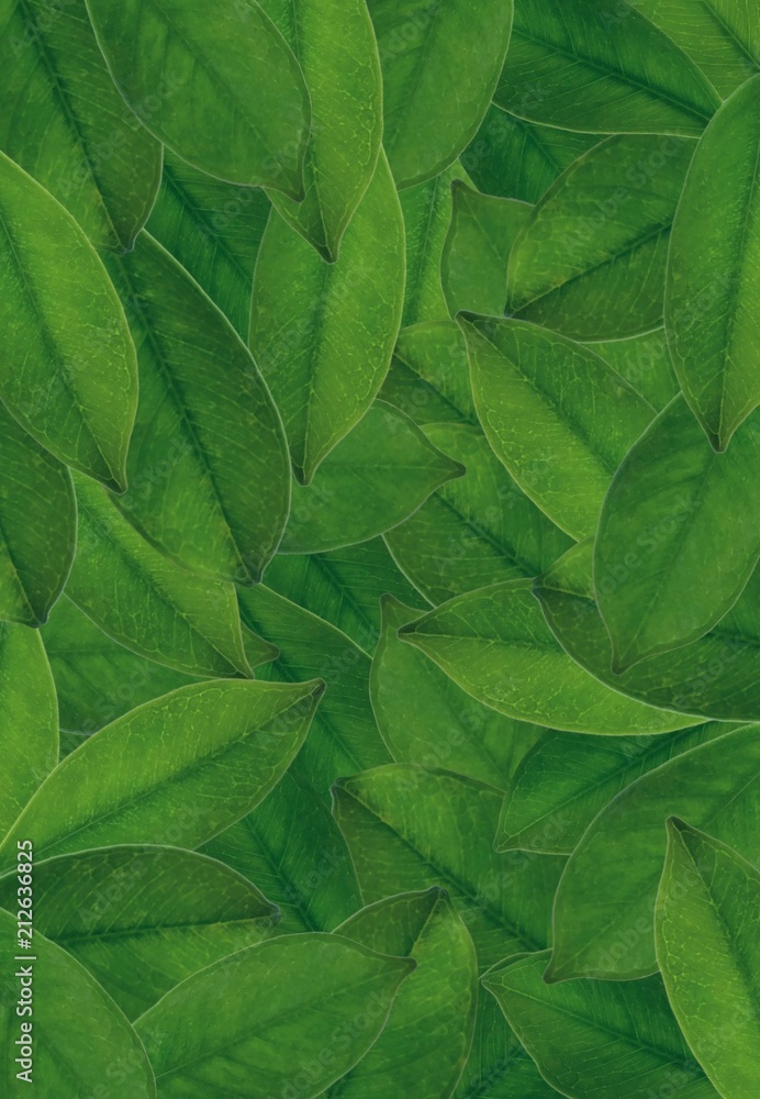 Abstract Beautiful Fresh Green Leaves Textured Background Abstract Beautiful Fresh Green Leaves Textured Background