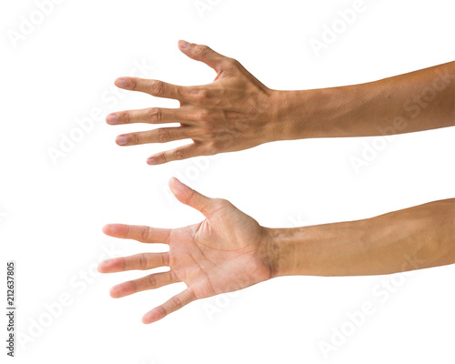 Clipping path hand gestures isolated on white background. Hand making number five sign or symbol gesture. Back hand front gesture.