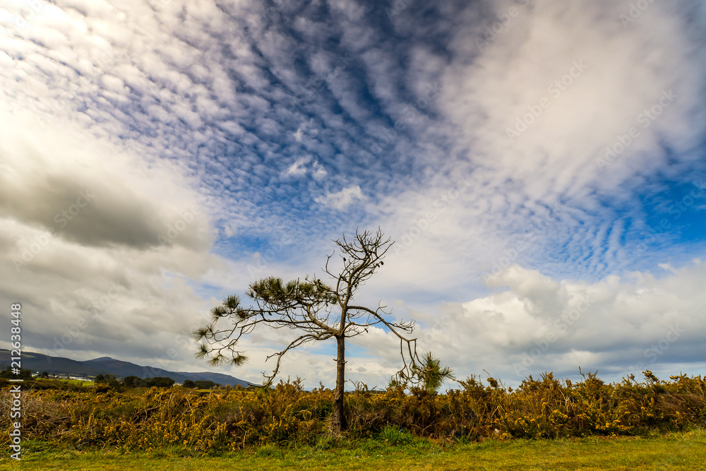 Fototapeta premium Playa de las Cathedrales - Galicia - Spain
