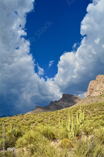 Monsoon Season Saguaro Linda Vista Hiking Trail Oro Valley Arizona Desert Rain