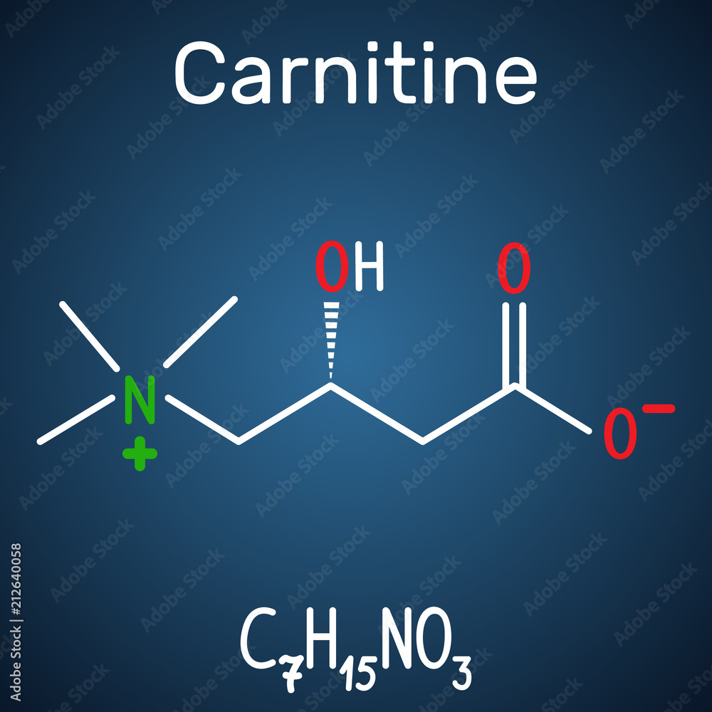 Carnitine (L-carnitine) molecule. Structural chemical formula and molecule model on the dark blue background Carnitine (L-carnitine) molecule. Structural chemical formula and molecule model on the dark blue background