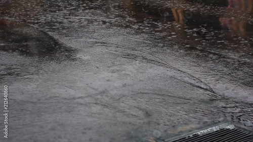 Pan of falling rain water into a storm drain in a asphalt parking lot.