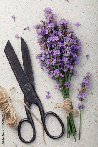 Fototapeta Naklejka Na Ścianę i Meble -  Lavender with old metal scissors and twine umbrella, top view