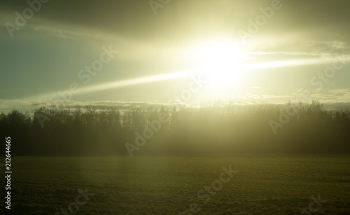 Portrait of Sunset over the forest.